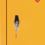 COSHH Cabinet
