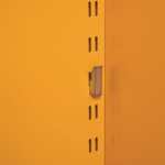 COSHH Cabinet